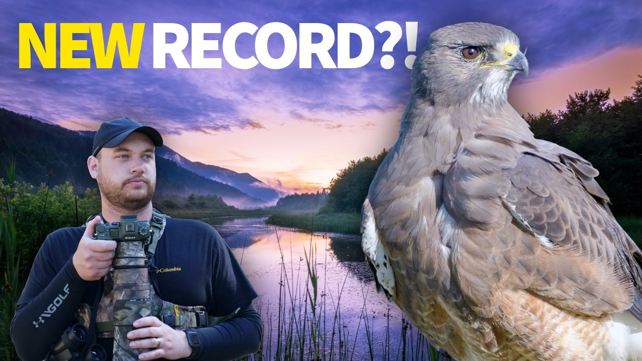 My BEST Year of Birding EVER?!
