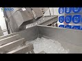 Automatic Ice Tube Cup Filling Sealing Machine Ice Cubes Cup Filling Packing Machine