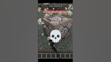Minecraft breakable block vs unbreakable block #minecraft #short #viral