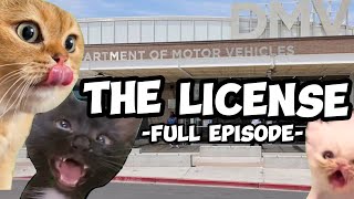 CAT MEMES: THE LICENSE COMPILATION + EXTRA SCENES