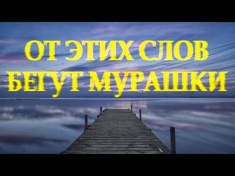 Хороший стих поможет в трудную минуту "Быть может времена уже не те" Геннадий Эсса / Леонид Юдин