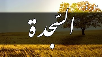 سورة السجدة - سمير عزت