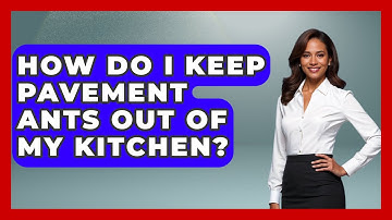 How Do I Keep Pavement Ants Out Of My Kitchen? - Insects and Invaders