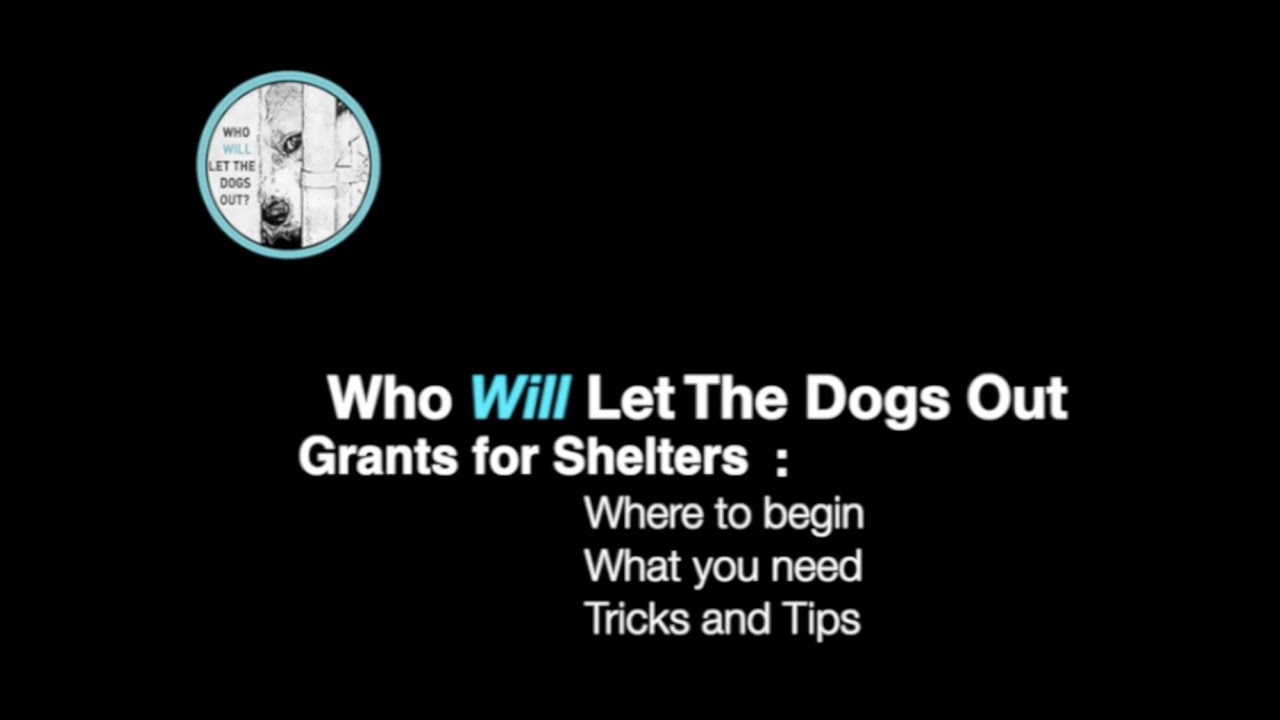 How to get grants for animal shelters YouTube