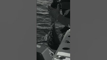 They Will NEVER Forget This Day!! ⚔️🎣🔥#swordfish #shorts #youtube