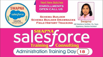 18.Salesforce Admin Schema Builder Schema Builder Drawbacks Field History Tracking Swapna Salesforce