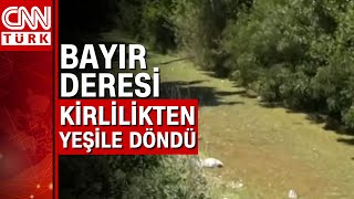 Bayır Deresinin Üstü Yosunla Kaplandı Bölgede Yaşayanlar Şikayetçi