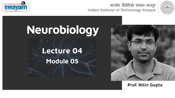 Lecture 04 Module 05