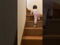 シベリアンハスキーと一緒に遊ぶため2階に上る妹分 #shorts