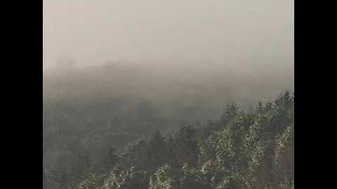 فضيله الشيخ محمد حامد الحناوى سوره النجم