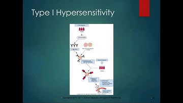Chapter 7 Lecture Part 2 Immune Reponse