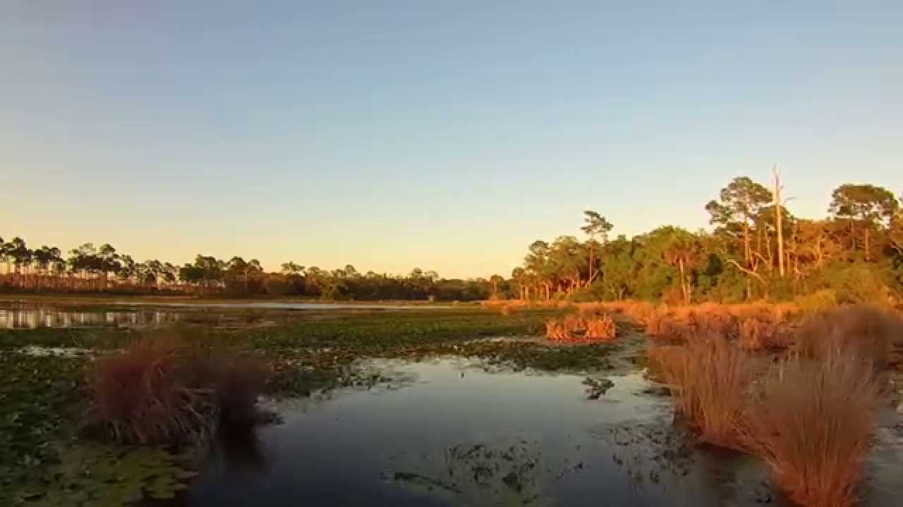 Sunset at Headquarters Pond aerial view (St. Marks National Wildlife Refuge)