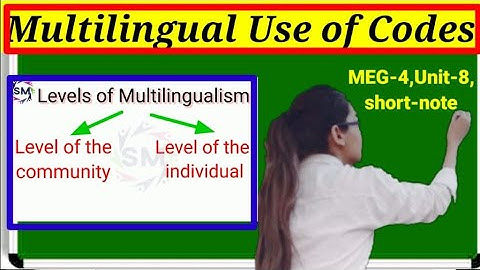 ✔️Unit-8Multilingual use of codes, levels of multilingual in Hindi+ English, meg-4,ignou..