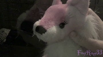 Only Just a Dream | Webkinz MEP Music Video Part 3