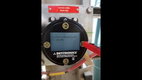 Det-Tronics UD10 mA simulation