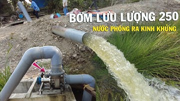 Bơm Lưu Lượng 250, Nước Phóng Ra Kinh Khủng | Bơm Nước Ruộng