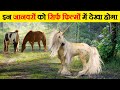 ये रहस्यमयी जानवर सचमुच इस दुनिया में मौजूद हैं  | Mythical creatures that exist in wild