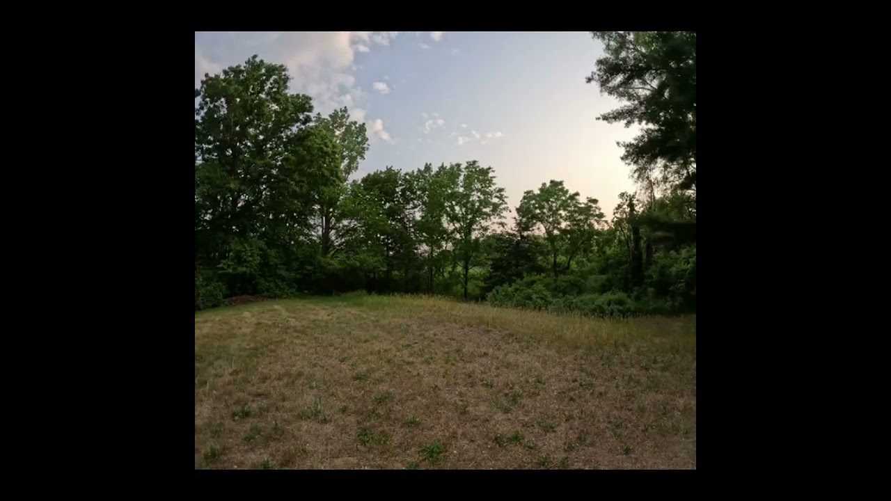 Coptic (Gnostic) - The Apocalypse of Peter