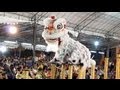 冠軍隊 - 臺灣基隆長興呂師父龍獅團 2013 International Lion Dance Competition 2013