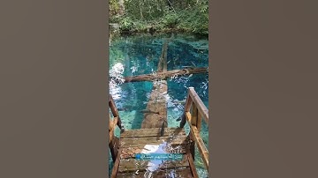 💧🐟💚#القرآن_الكريم #سورة_الفرقان #قرآن #محمد_اللحيدان #اكسبلور #راحة_نفسية #nature #explore #travel