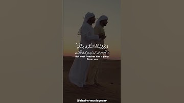 ‌‎🎙|  القــارئ سعد الغامدي📜 |سورة الحج آية:37❤️تذكروا❤️(✨الدال على الخير كفاعله #Quran#surahalhajj