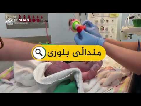 ئینفۆگرافیك دانانی منداڵی بلوری IVF