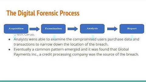 Database Forensics