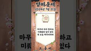 오늘의 양띠 운세 2024년 7월 21일 #양띠 #오늘의운세 #내일의운세 #운세 #운세쇼츠