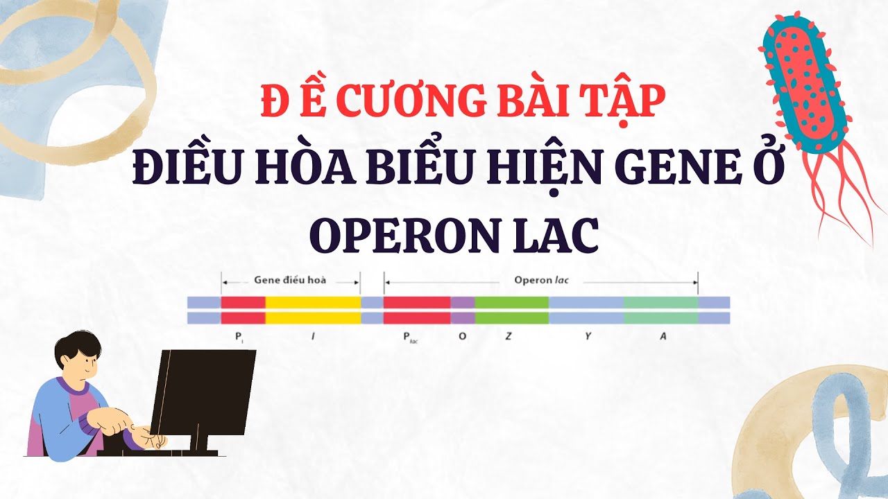 Điều Hòa Biểu Hiện Gene Trong Operon Lac  - Bài Tập Trắc Nghiệm Cơ Bản Và Nâng Cao | Sinh Học 12