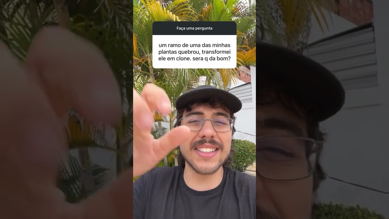 RAMO da MACONHA QUEBROU (dá pra virar um clone?)