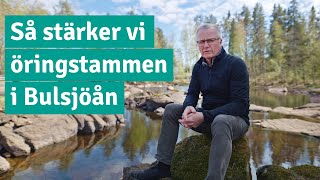 Så stärker vi öringstammen i Bulsjöån | Tranås Energi AB