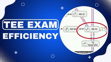 A Simple Yet Efficient TEE Exam System (Transesophageal Echocardiography)