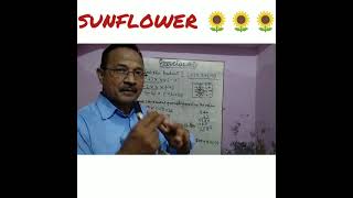 R.S.AGGARWAL MATHS CLASS 6TH EXERCISE 4D QUESTIONS 2,3 AND 4 SOLUTIONS.