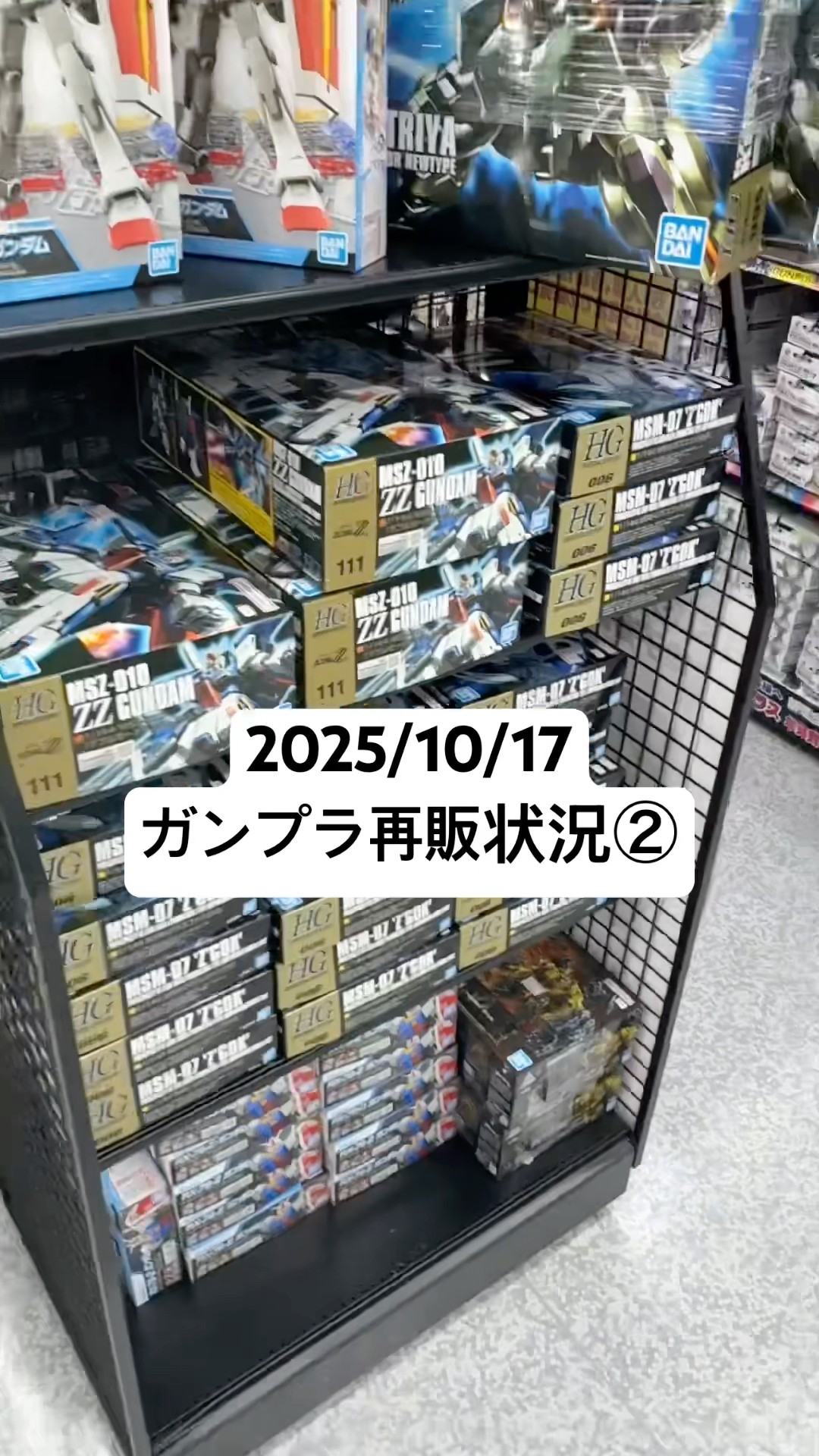 シュツルム・ガルス ローゼンズール シルヴァ・バレト V2 ノーベル