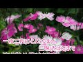 なでしこの雨(夏木綾子)♪♪カバー(♯2)