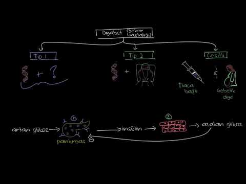 Diyabet Türleri (Fen Bilimleri)(Sağlık ve Tıp)