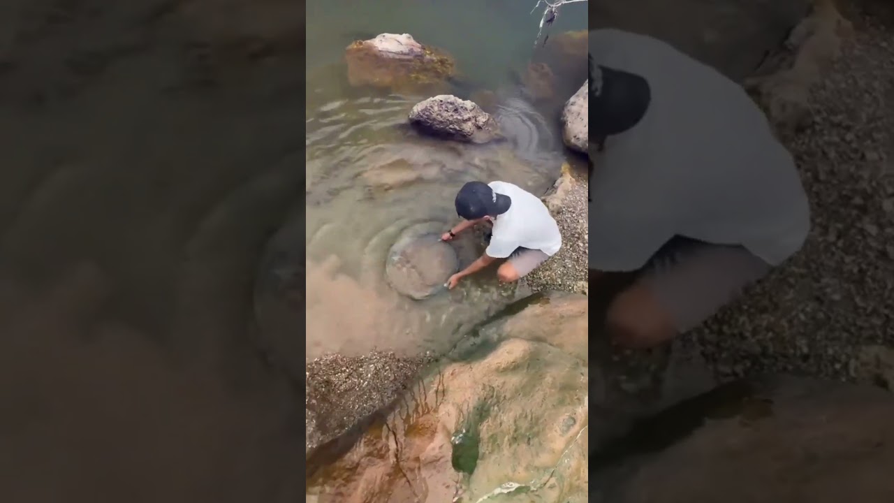 He Found GOLD Stuck on a Rock… You Won’t Believe What Happened Next! 💰