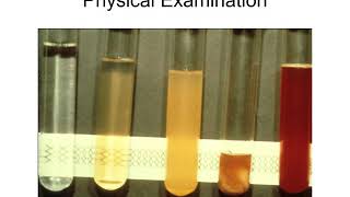 Chapter 11  Synovial Fluid Analysis