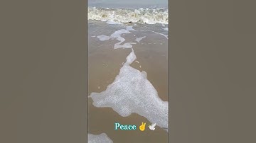 Thumbnail of peace 🕊️ #peace #sea #seabeach #shorts #trending