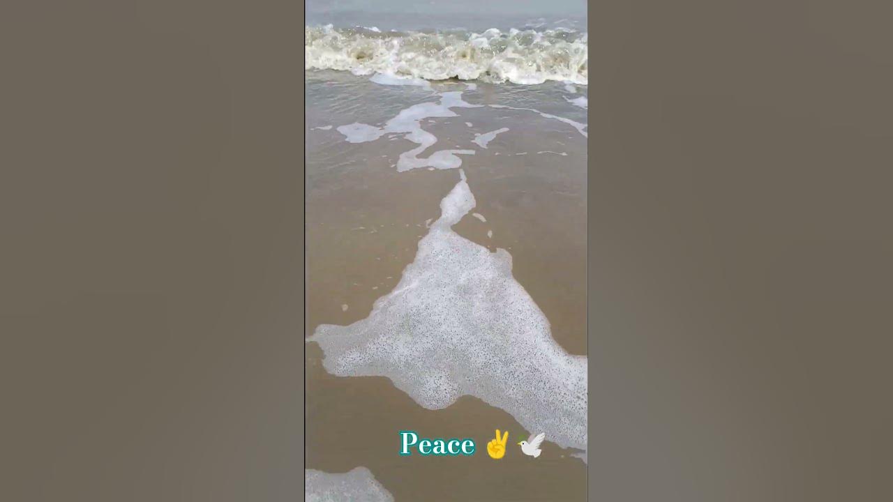 peace 🕊️ #peace #sea #seabeach #shorts #trending