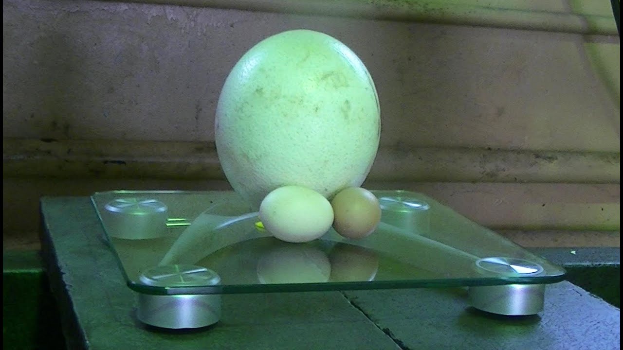 ostrich Egg and Glass vs Hydraulic Press YouTube