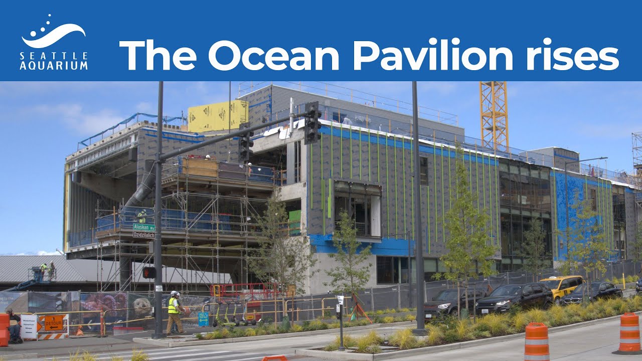 The Ocean Pavilion rises YouTube