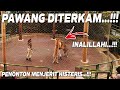 PENONTON MENJERIT...!!! PAWANG DITERKAM HARIMAU