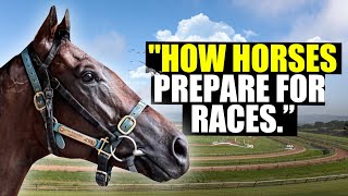 How Horses Prepare For Races