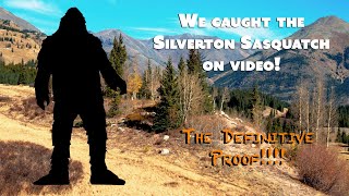 Silverton Sasquatch... The Definitive Proof (Close up Video)