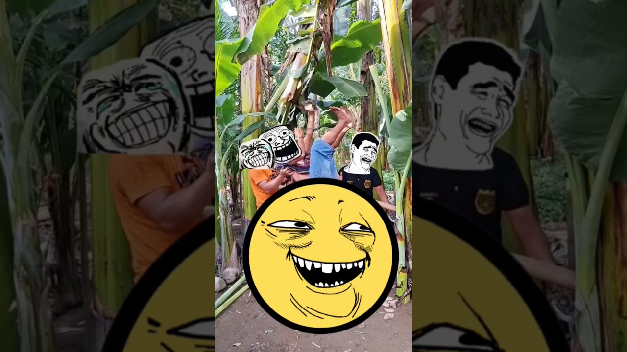 chicken road troll 😂 