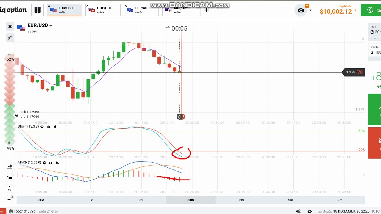 Iq option thailand