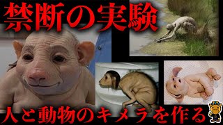 実際に行われている禁断のキメラ生物実験について