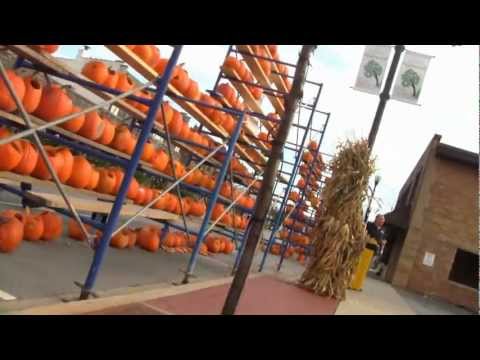 Guy yelling at kids for smashing pumkins