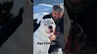 Aga Mafya 💣 Resimi